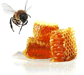 les produits de la ruche
